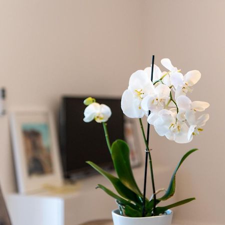 Apartment Ivi Трогир Экстерьер фото